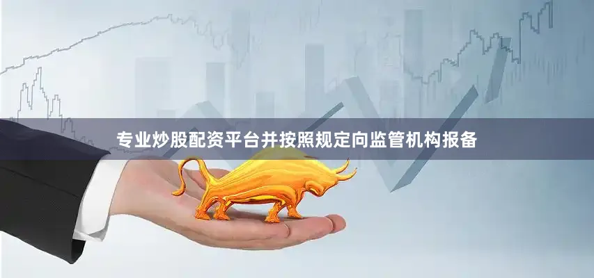 专业炒股配资平台并按照规定向监管机构报备