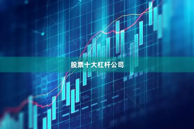 股票十大杠杆公司